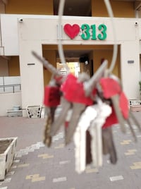 ١٠٠م • شرقي • مالك مباشر