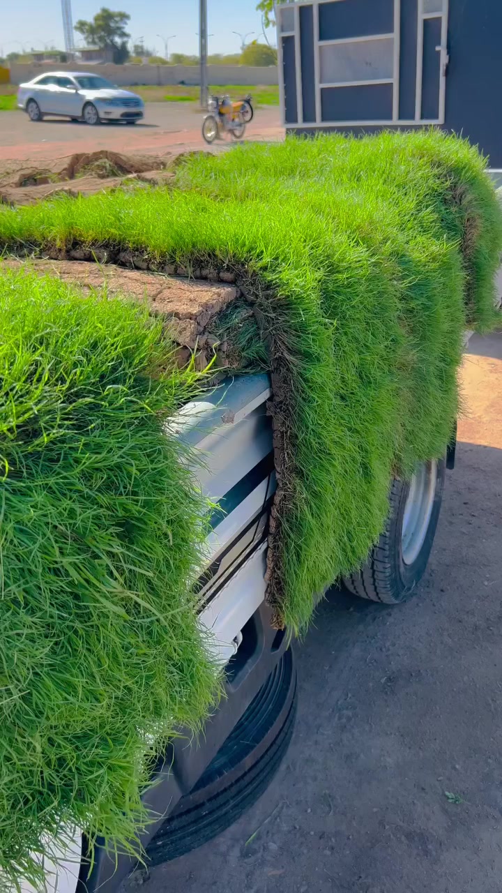 وصول #ثيل_الهندي درجه اولى 🌹

#اكسبلور_ديالى_خانقين_بغداد_حمرين_جلولاء_سعديه_كلار_كركوك_سليمانيه_اربيل_عراق_نباتات_طبيعيه_حله_موصل

🏢 الـعـنـوان: { ديالى - خانقين  - شارع جودليه - خلف مدينه العاب الجديده من جهة ملعب الشهيد حسين منصور }
يوجد لدينا خدمة توصيل 
***********🚛
