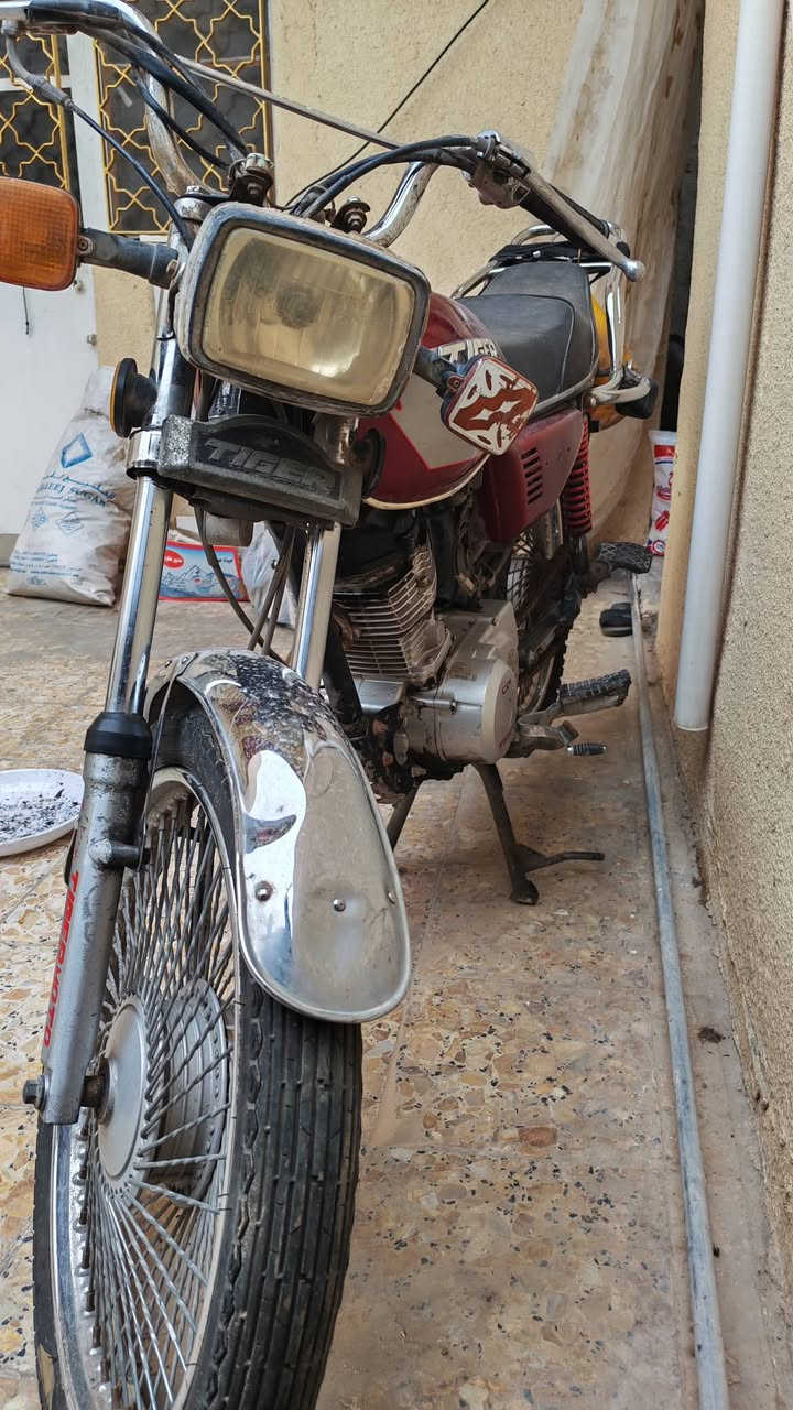 دراجة تايكر 2019
اوراق استنساخ السعر 400
***********
