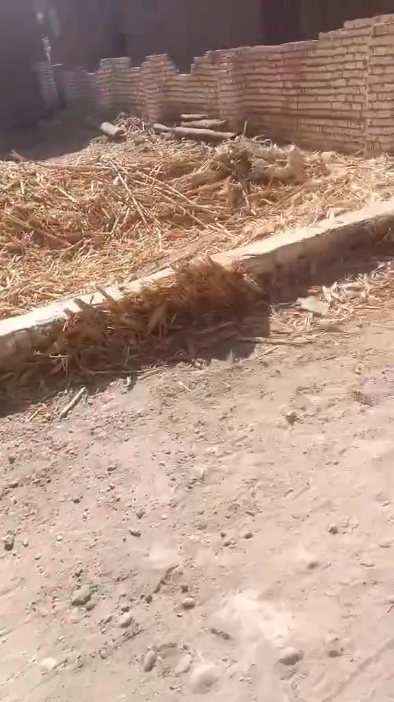 تنبيه هام: توجد قطعة أرض معروضة للبيع في منطقة فزارة، وهي محل نزاع قضائي بين طرفين. الأرض مشاع بين أخوين، وقد قام ورثة المرحوم جمال محمد عبد الظاهر (يوسف جمال ومحمد جمال) بعرضها للبيع. أود التنويه بأني قد حررت محضراً ضد المشترين عبد الناصر محمد علي مرسي وعبد الرحيم أحمد علي مرسي، وأي شخص سيُقدم على شراء هذه الأرض سيتم تحرير محضر ضده أيضاً. مرفق صور الإنذار القضائي وعقد الملكية المشترك.


**إذا كنت صاحب هذا الإعلان وتريد حذفه لأي سبب، رجاءا أرسل رسالة إلى الدعم الفني**