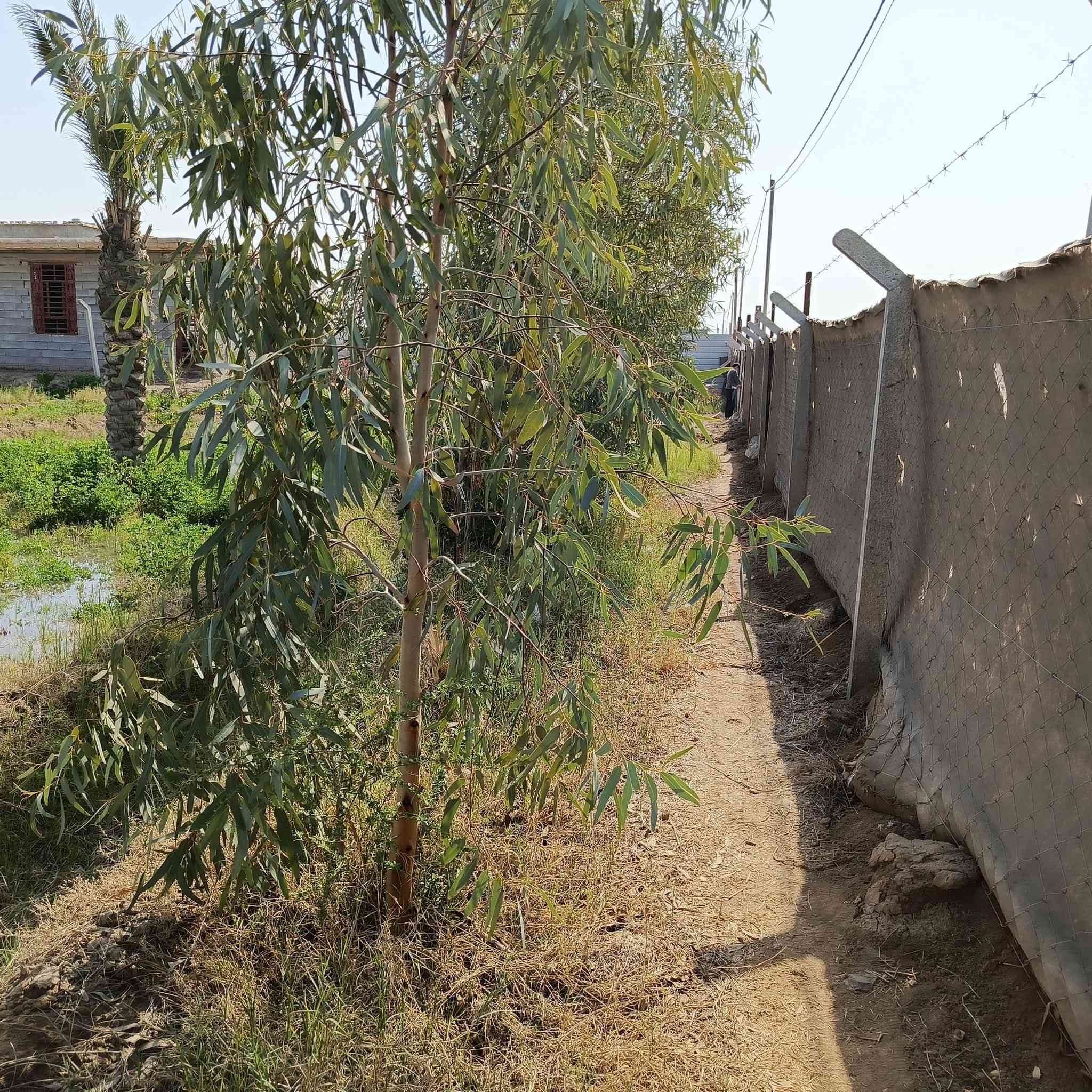 السلام عليكم ورحمة الله... نصف دونم منطقة الجمالية يبعد عن التبليط 120 متر سند 25 مع  توفر كافة الخدمات الواجهة 36 متر والنزال 35 متر للاستفسار...***********
