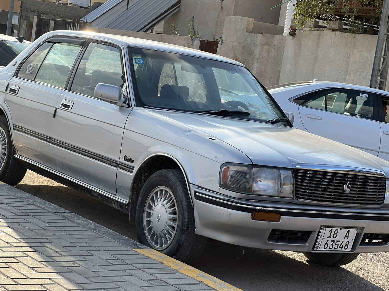 السلام عليكم أرنب مديل 95                     مكفولة من الأصوليات سعر ٦٨  للاستفسار ***********
