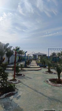 طليه السبوع • مبيت مناسبات • بابل طريق شريفه