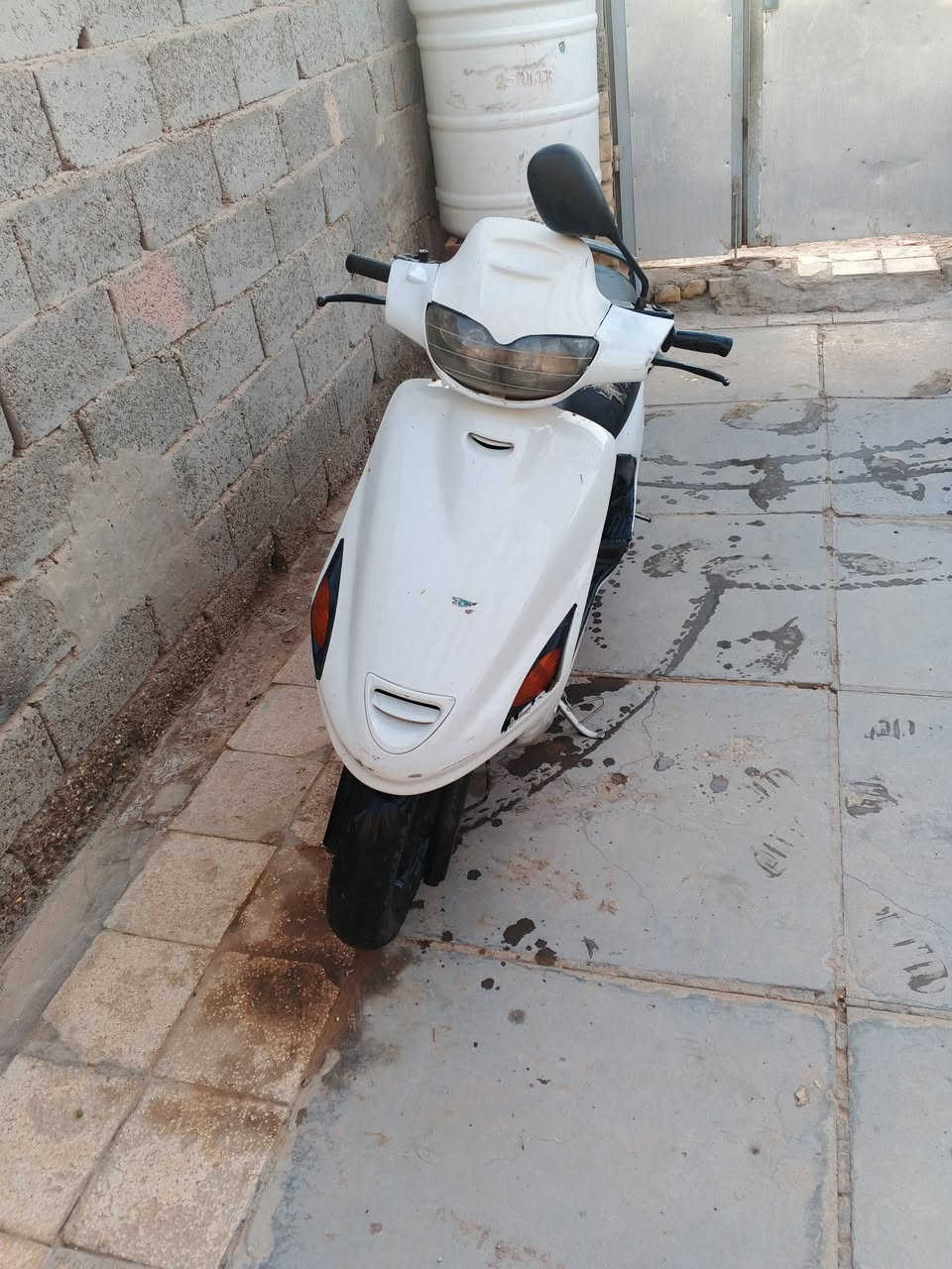 فراشه فحل للبيع ***********
