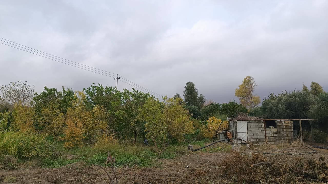 #_مزرعه للبيع 
مساحة الأرض دونم و400م  محدده بسياج من ثلاث جهات وفيها دار استراحه صغير ومسبح وغرف للحيوانات وتنور طابو زراعي25 مغروسه بأشجار زيتون على طول السياج وتين ومشمش وخوخ ونخيل و وقسم منها ارض غير مزروعه وتحتوي على بئر وكذالك أشجار رمان وبرتقال وليمون وقمرية عنب للاستفسار ‏‪0771 132 5172‬‏ او 
***********
السعر 45 مليون وقابل للتفاوض
