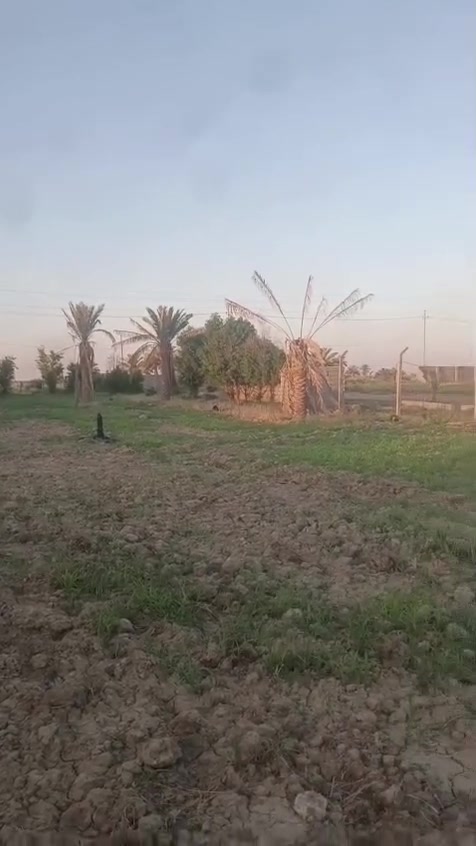 اللهم صلي على محمد وال محمد
السلام عليكم دونم للبيع مخدوم وكامل ماء وكهرباء وجار العمل بل تبليط  ركن عل شارع مباشر وبي غرفه وصحيات طابو طابو 25باسمي تحويل مباشررر في كربلاء قضاء الحر منطقه الرشديه عل نهر الرشديه مباشر مسج كامل للستفسار الاتصال ***********
