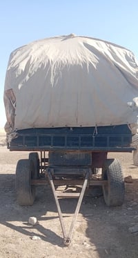 عربانه • فصال الموصل • ويل ١٢ونص