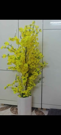 سندانه • ورد • زينة