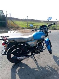 دايوان موديل 21 • أوراق كاملة • كوت