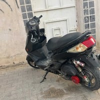 سكنس فحل • عقل رياضي • كزوز رياضي