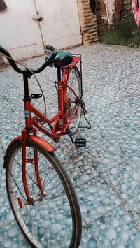 بايسكل • للبيع • اوبي مجال