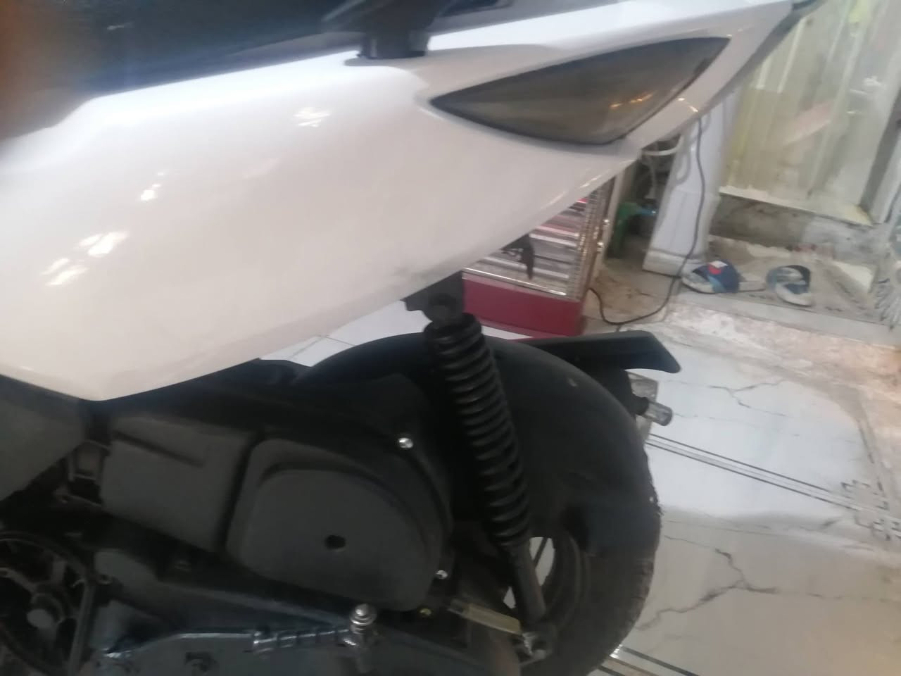 ،، ماكس ثعلب مراوس 11(***********
