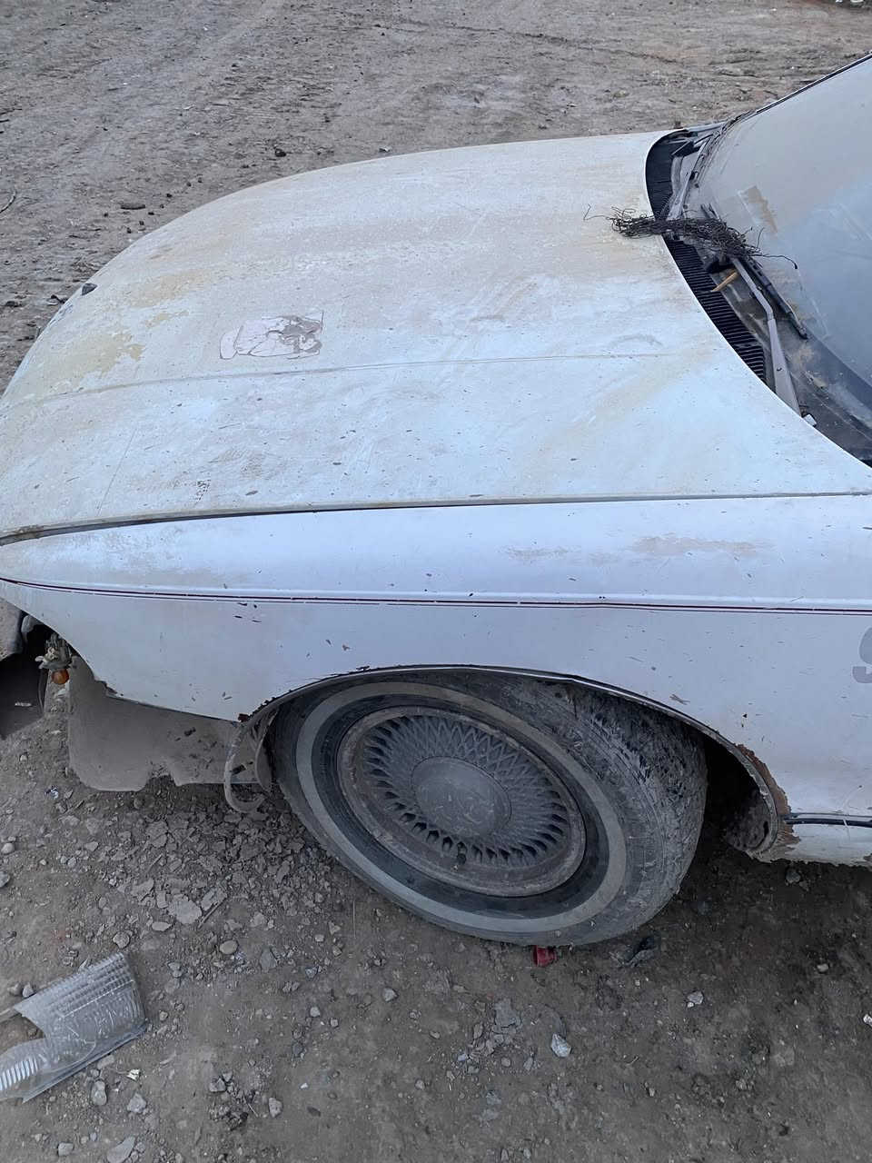 السلام عليكم دولفين 91للبيع او مرواس بكابرس
السياره توني شادله مكينه وكير جدد وضفيرته منفوضه 
عوزه حداديه وصبغ مكانيك وكهرباء فول 
رقم قادسيه مداور ثاني يوم 
***********
