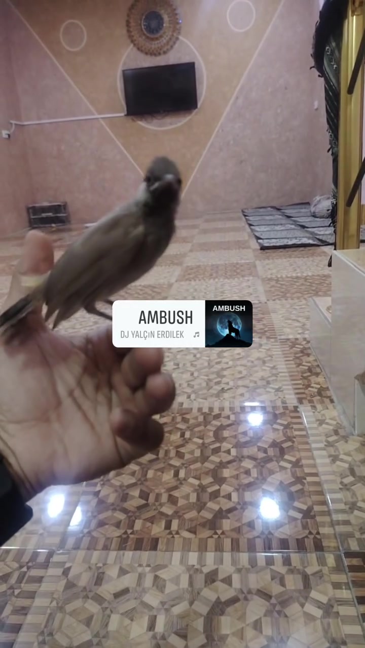 متاح مخلف ب٣٠ قفل مكان ديالى. عدد ٤


**إذا كنت صاحب هذا الإعلان وتريد حذفه لأي سبب، رجاءا أرسل رسالة إلى الدعم الفني**