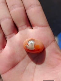 مكاني • كربلاء • اكسسوارات