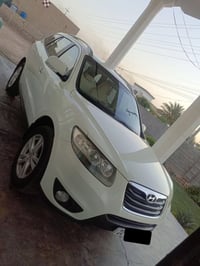 سنتافيه • ٢٠١٠ • رقم اربيل