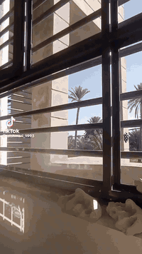 كادر عمل جام نعمل كافة المحافضات
خصم المجمعات 
خصم دوائر الدوله
***********‏
