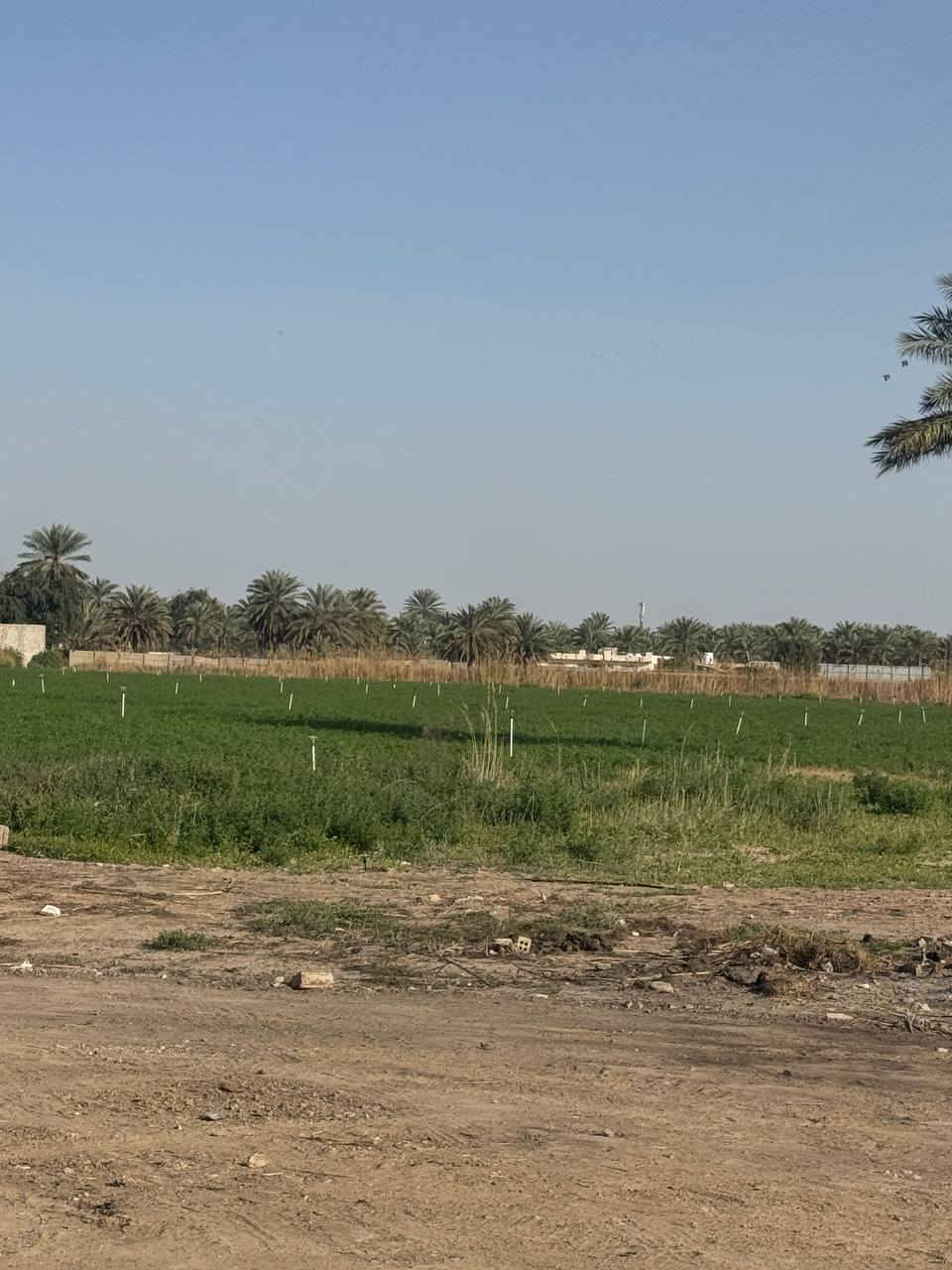 السلام عليكم موجودة عروض من الاراضي الزراعية والسكنية طابو 25 المساحة مختلفة 
يوجد أرض زرعيه طابو 25 المساحة 5 دونم  خدمات كاملة عنوان بغداد المدائن شارع سيد علي 

2-يوجد أرض  طابو ملك صرف  المساحة دونمين متوفرة كافة الخدمات بغداد المدائن منطقة تويثة 

3-يوجد أرض طابو ملك صرف في بغداد المدائن المساحه حسب الطلب 
4-يوجد دونم شاطية عقد 35 متوفرة كافه الخدمات بغداد المدائن منطقة الجعارة 
5 يوجد كافه العروض مزارع جاهزة أرض طابو ملك صرف يوجد عقود 
أي ستفسار اتصل
 ***********
***********
