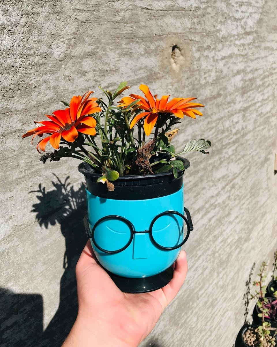 ب١٥٠٠ فقط
ورد موسمي بالوان واشكال مختلفه
مع سندانه ام النظارة ( تتوفر بالوان متعددة) حسب اختيارك ❤️

-الفرع الاول :- سوق حديثة مقابل كوفي سراج في الفرع المقابل لمطعم ومشويات الرسول

-الفرع الثاني :-شارع التربية مجاور ماركت القاسم


**إذا كنت صاحب هذا الإعلان وتريد حذفه لأي سبب، رجاءا أرسل رسالة إلى الدعم الفني**