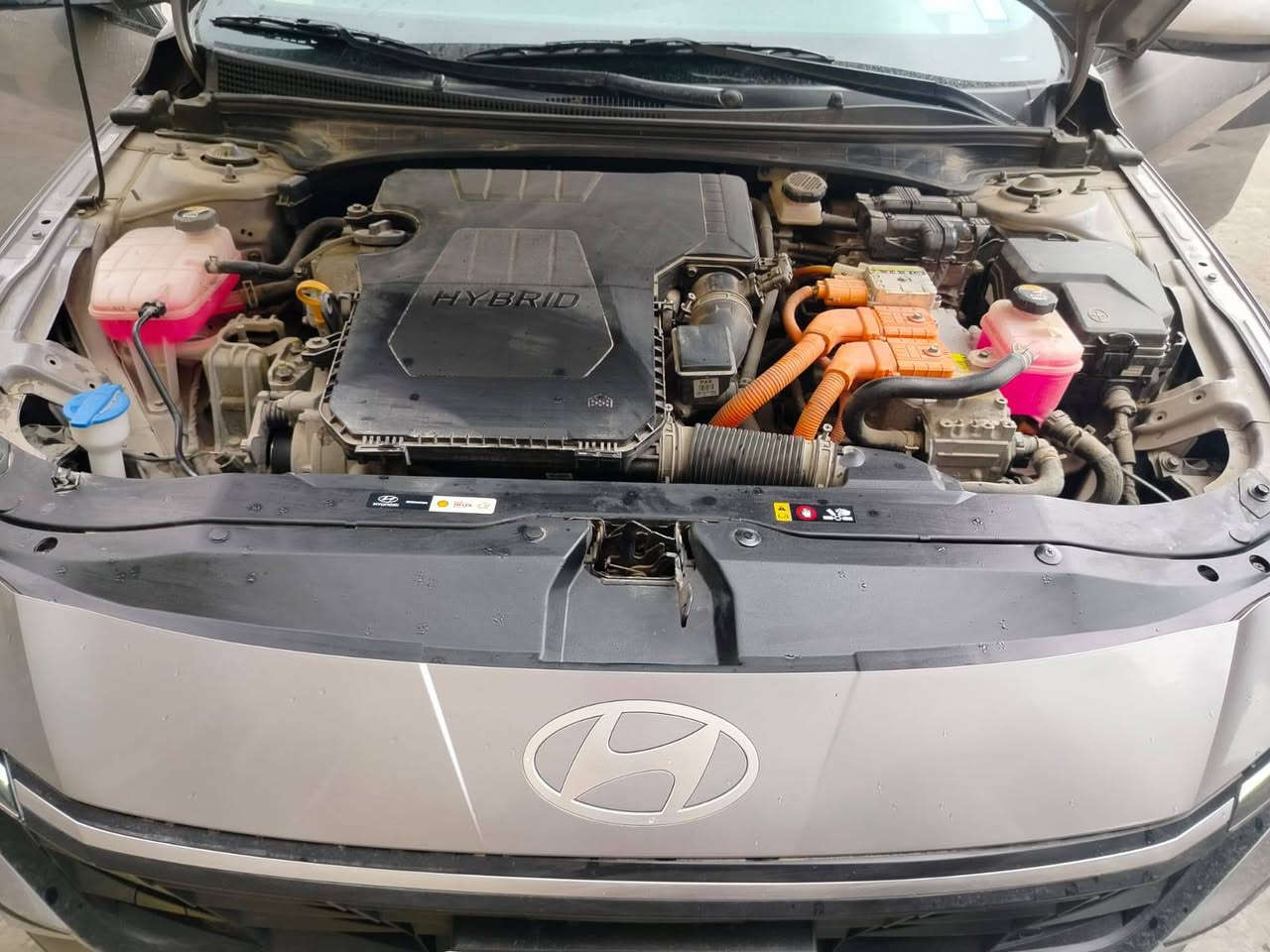 النترا 2024 وارد امريكي هايبرد
سونار موجود محرك كير مكفول تبريد ثلج🧊

مواصفات السياره

🔺بصمه تشغيل

🔺بصمه ابواب

🔺شاشه متصله دجتل

🔺بصمه صندوق

🔺تشغيل عن بعد

🔺رادلر امامي رادار خلفي

🔺مانع تصادم بريك ذكي

🔺مدخلين شحن واوكس

🔺كامرا خلفيه دواره

🔺نضام GPS+خرائط

🔺زر عرض كامرا

🔺نضام قياده ذاتيه

🔺مانع انزلاق

🔺3انضمه قياده (eco, Nor,sport)

🔺دشبول لد الوان

🔺تحكمات ستيرن

🔺حساسات اماميه خلفيه

🔺دفع امامي FWD

🔺القوه الحصانيه 139

🔺صرفيه الوقود حوالي 4.7لتر لكل 100 كم

🔺محرك 1.6

🔺تثبيت سرعه

🔺نضام طواارئsos

🔺اضاءة اماميه LED

سعر 170  وبي مجال  فلوسك يمك وسيارتي يمي اذا متعجبك هاذ رقمي *********** ايوب  مكان السياره العامريه مجمع الايادي
