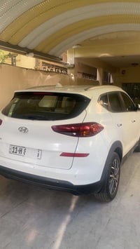 توسان2020 كاصد فول عدا البانورنا رقم بغداد  07773043402  واتساب فقط ال...