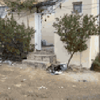 علوه الفحل • ٧٧م • طابو زراعي