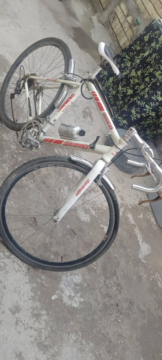 والبايسكل تاركه وسعر قيم واخذ
*********** مكاني بغداد رئاسه الامين
