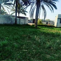الزبيلية • ٤٢٠م • اقل ١كم