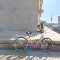 بوسكل حدباء • يحتاج زنجيل • مكاني الحود