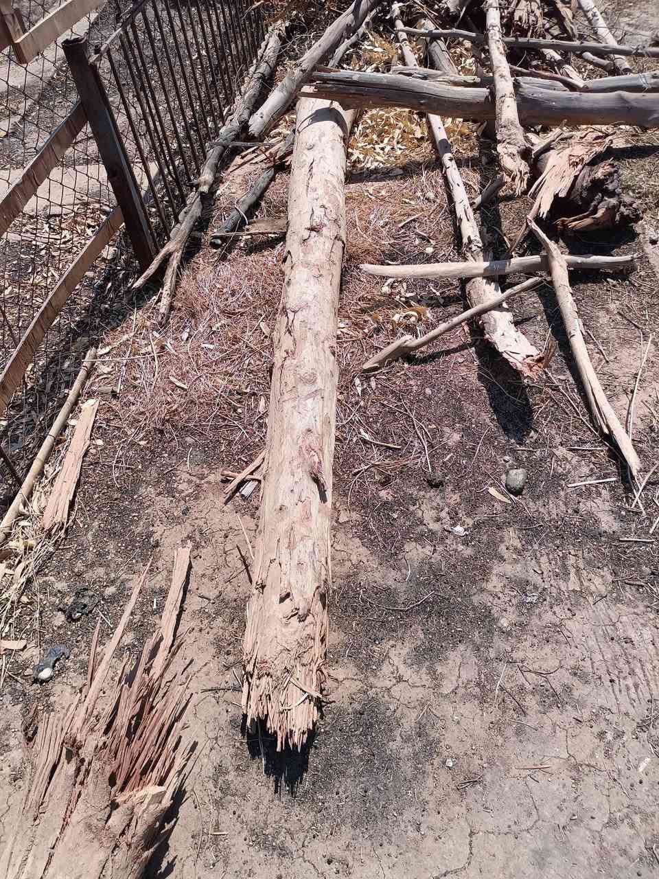 خشب للبيع مكاني كركوك


**إذا كنت صاحب هذا الإعلان وتريد حذفه لأي سبب، رجاءا أرسل رسالة إلى الدعم الفني**