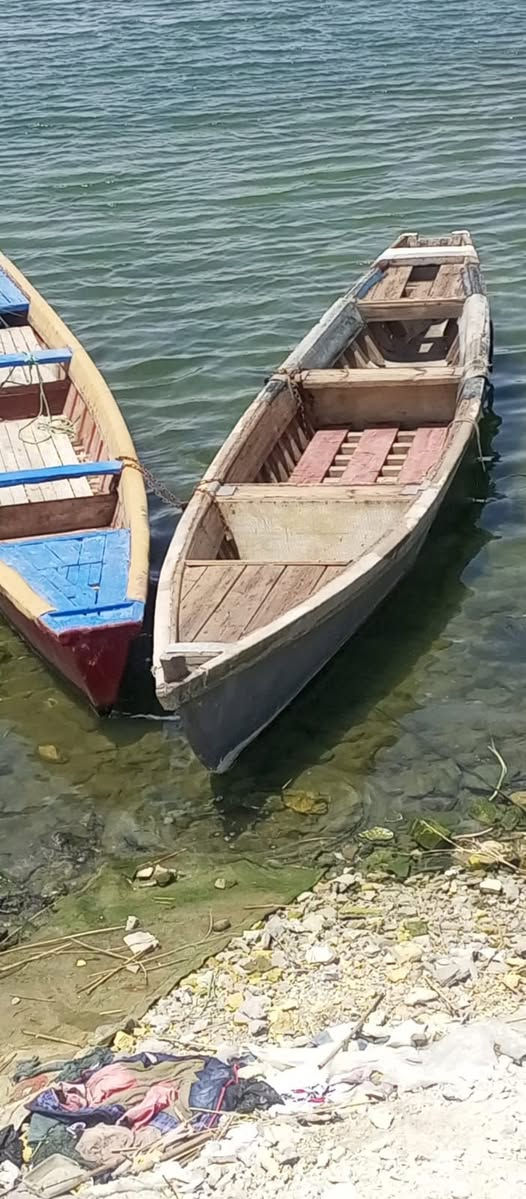 سلام عليكم ورحمة  چينكو للبيع فافون  البصرة بشط العرب  قرب جسر خالد، السعر750


**إذا كنت صاحب هذا الإعلان وتريد حذفه لأي سبب، رجاءا أرسل رسالة إلى الدعم الفني**