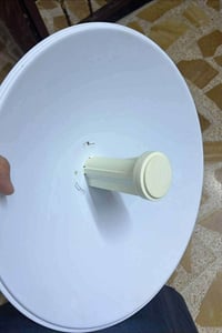 شغال • مع واير • الخضر