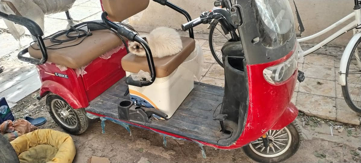 سلام عليكم
متاح تكتك معوقين شحن نظيفه وشغاله
قبل سبوعين مبدليلهه بطاريات جدد وشاحنتهه اصليه
*********** واتساب
