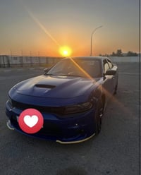 شرگاط اربيل • يومي ذهاب واياب • صباحي