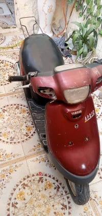 ذبانه • ياباني • تواير جديد