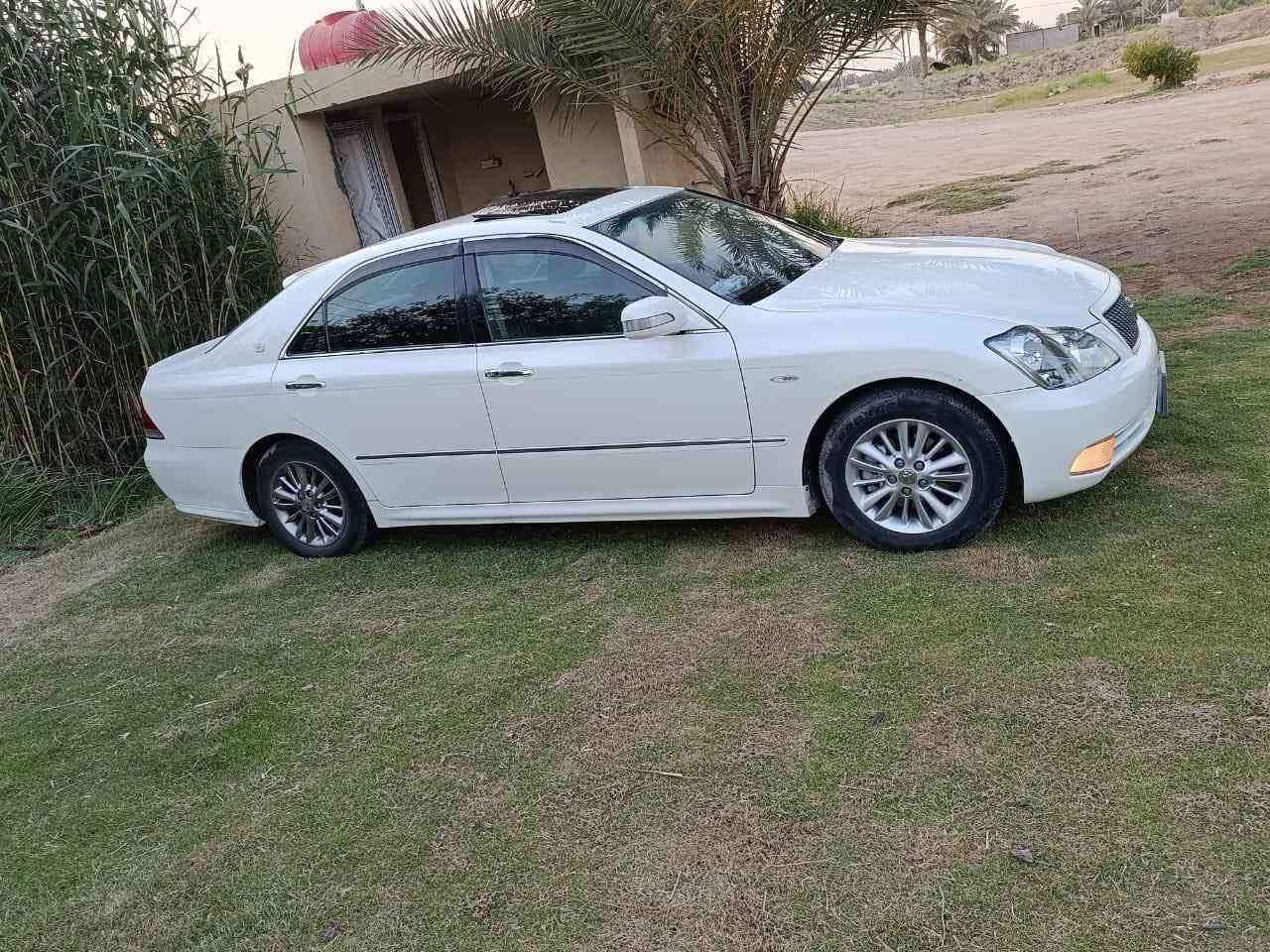 شاهينه للبيع صدفيه فول واحد على واحد كفاله عامه رقم بغداد بسمي السعر ١٢٥ قفل مكان طوريج ***********
