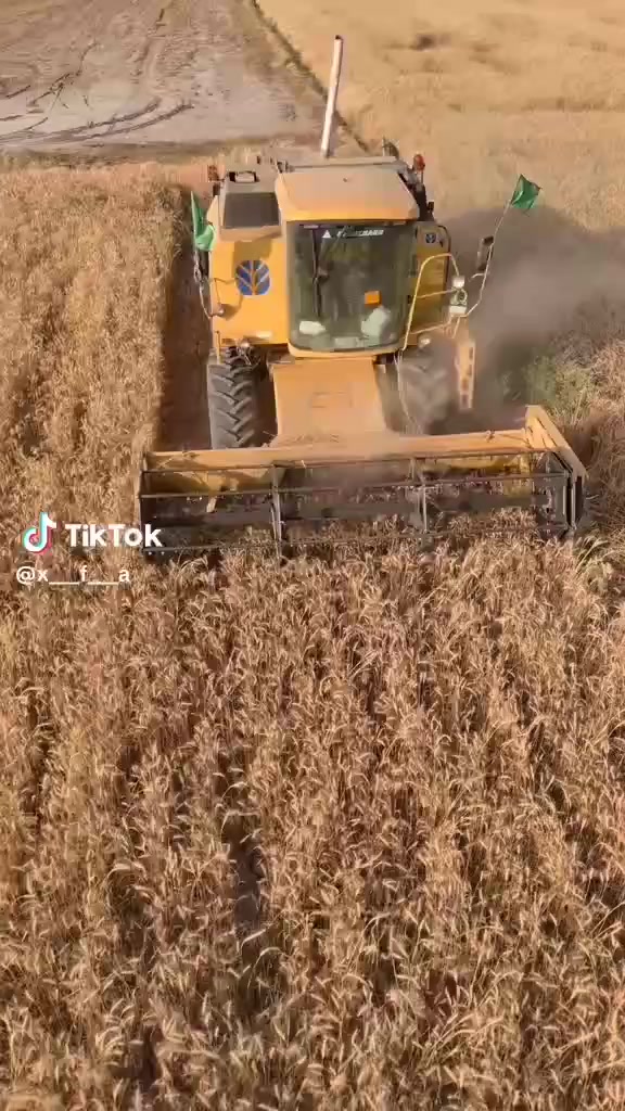 السلام عليكم حاصوده موديل 98 رقم وسنويه واسط خمسه بلم هيدرو محرك شرط لاصرف ولاتبخير مديومه وجاهزه للحصاد ***********
