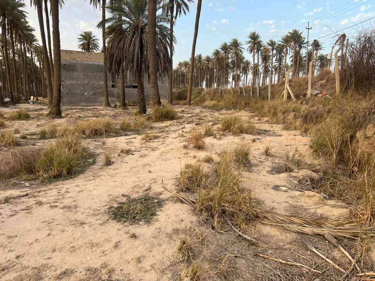 بيت 200متر مع 800متر ويا لبيع البيت عوزه شغلات بصيطه جام وبوب داخليه فقط ملك طابو زاعي سند 25 البيت موجه ع شارعين كهرباء ومي كامل الستفسار ***********
