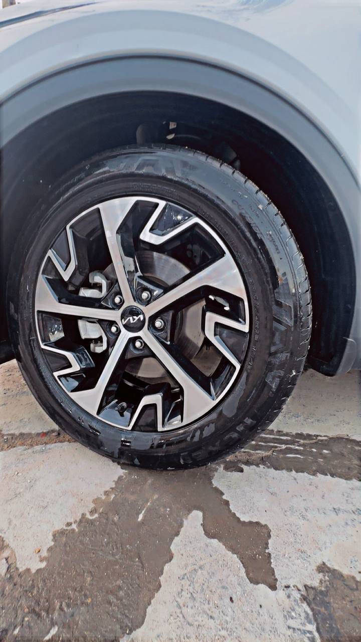 سلام وعليكم كيه سبورتج خليجيه مكفووله كفاله عامه بيه بس طخه بل ما تبين بل جاملغ وبيه رصعيتين مال حصويه بل قماره ما يبينن صغار 
السياره مكفوله من الصبغ والضربه 
ماشيه 27
رقم اربيل تحويل ثاني يوم
السياره فول موصفات ما عده الفتحه
موديل 2024
السعر 220
رقم ***********
