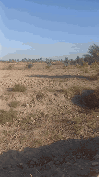 السلام عليكم بسم الله الرحمن الرحيم توجد لدينا أرض للبيع المساحة 7دوانم الجنس أصلاح زراعي أرض جدا جميله ومنطقة سكنيه وزاعيه واجهيه كلها 80 متر على الشط مباشر شارع ١٠متر سبيس قيد الانشاء متوفره مأء اساله وكهرباء الموقع بابل الحمزه الغربي خيكان قرب الدولي الجديد
الشراي يتصل وبخدمتكم وبسعر مناسب جدا للاستفسار الاتصال على الرقم التالي ***********
***********
