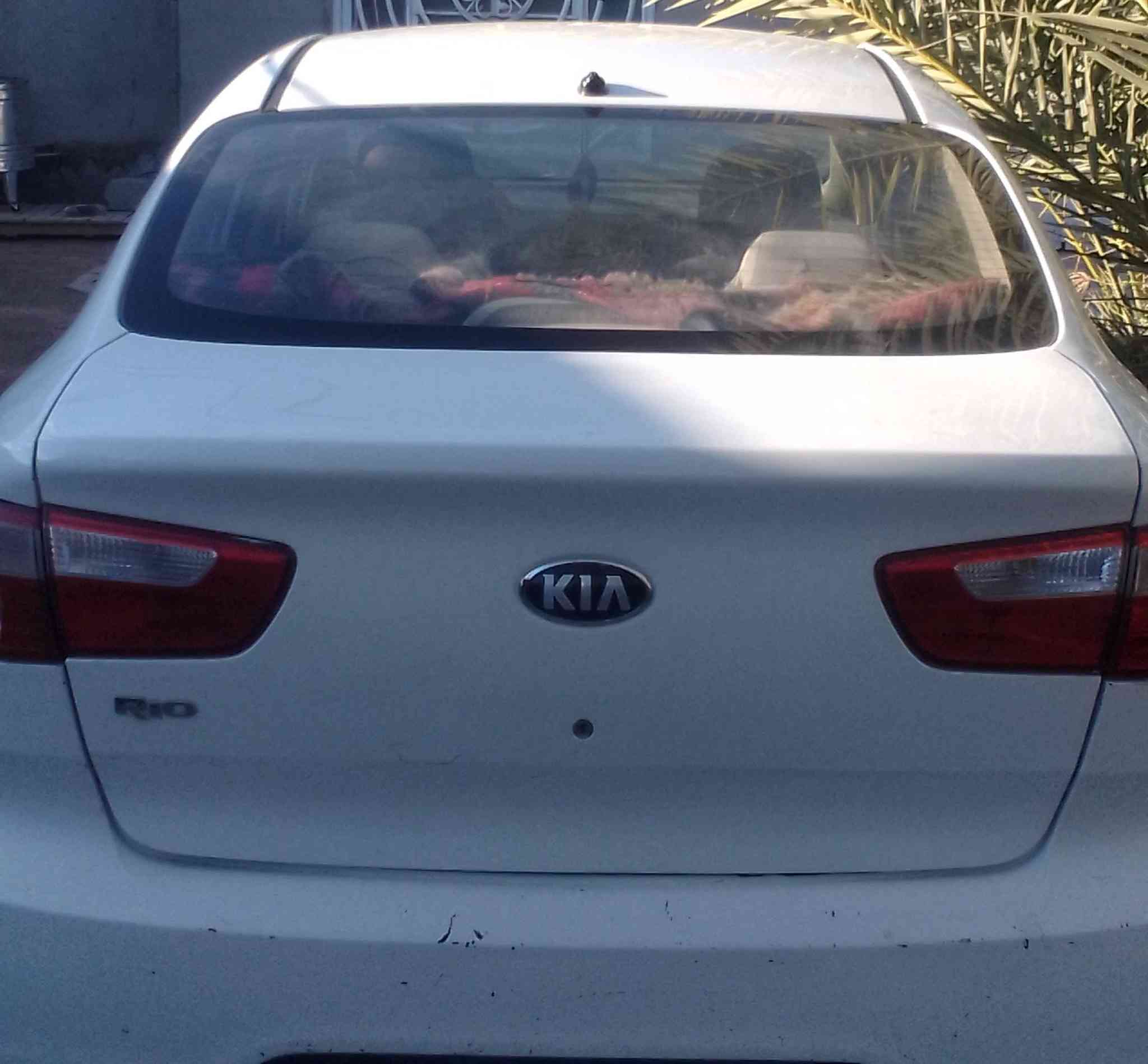 اسلام عليكم كيا ريو موديل 14 خليجي مكينه 1600قطرتين رقم قادسيه مكان الدوانيه بسمي تحويل مباشر بيه بارد بل جنطه وصبخ جاملغ المامي قليل السعر 87 /***********/
