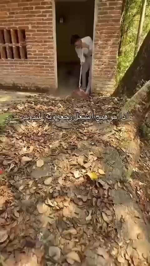 البلور البيع


**إذا كنت صاحب هذا الإعلان وتريد حذفه لأي سبب، رجاءا أرسل رسالة إلى الدعم الفني**