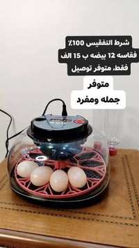 فقاسة • ١٢ بيضة • ضمان