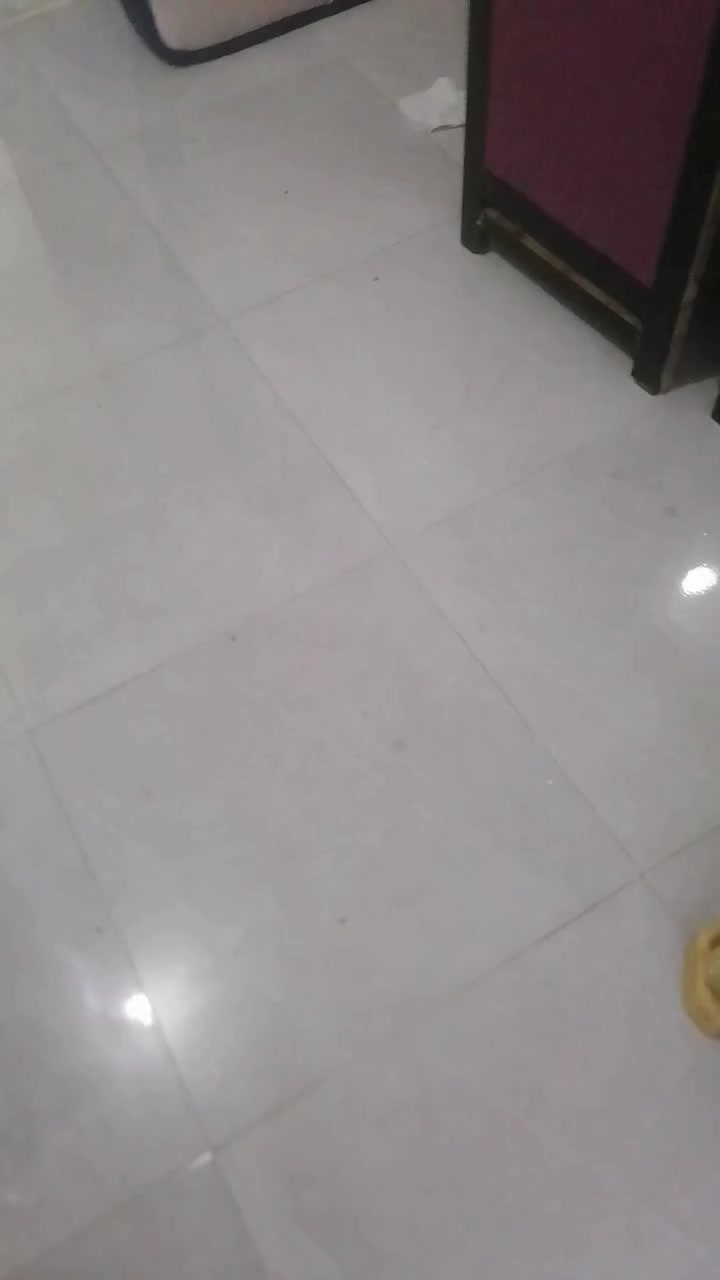 سعر ٣٢٥ ألف مكان بغداد حي الجهاد قرب قرب الحمدانية
***********
