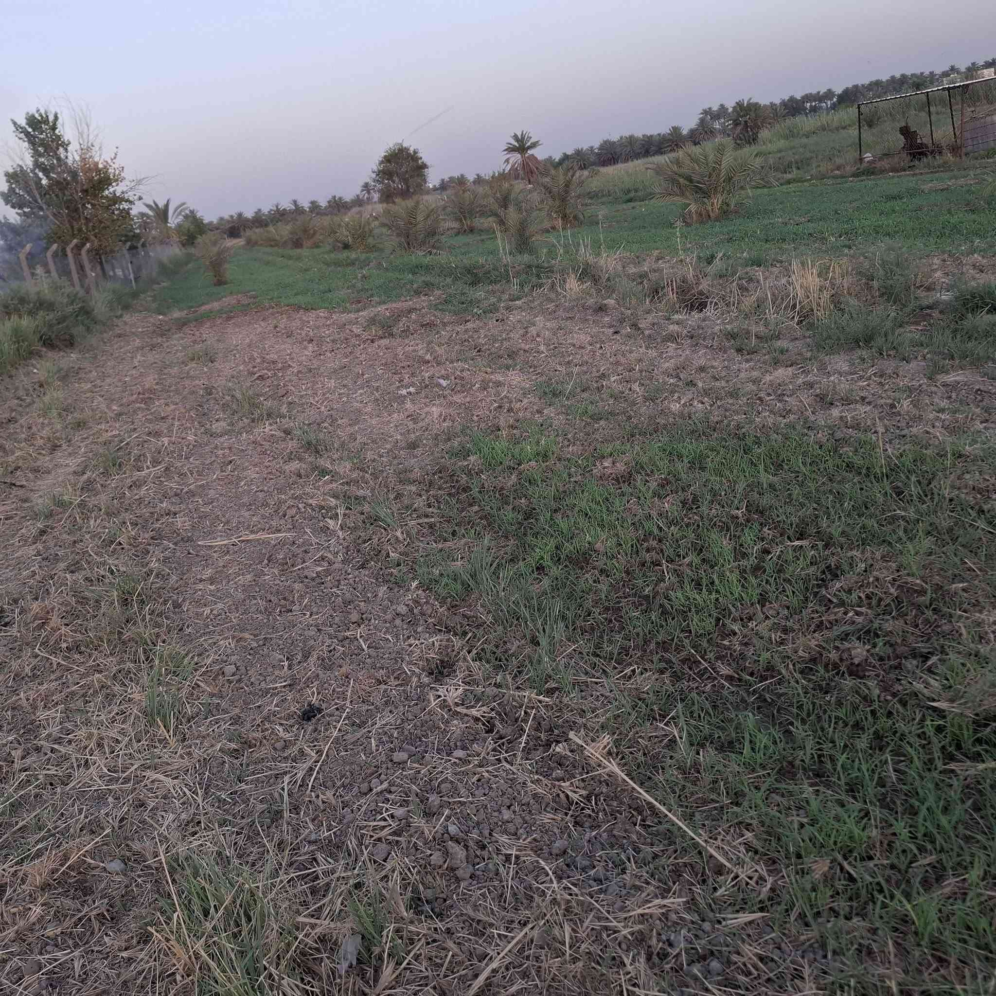 قطعة ارض للبيع دونمين طابو زراعي سند تحويل مباشر بأسم المشتري متوفر ماء وكهرباء الموقع خلف معمل غاز المدحتيه مقابيل وكفه الحلال الجديده ***********
