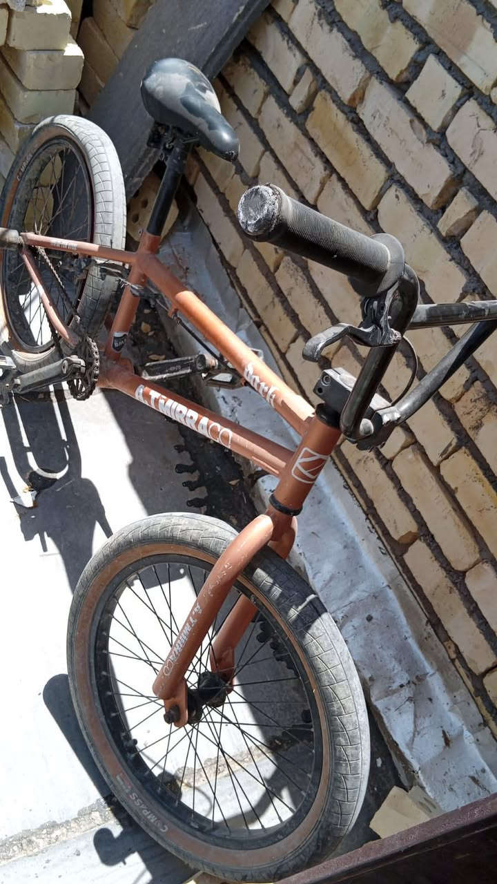 بأيسكل BMX مال حركات ولعب حته التاير نفس لون البايسكل أخذته ب 200 وهسه عارضه ب 150 وبي مجال قليل كربلاء البوبيات


**إذا كنت صاحب هذا الإعلان وتريد حذفه لأي سبب، رجاءا أرسل رسالة إلى الدعم الفني**