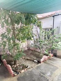 الحبيبية قرب الجوبه • ١٠٠م • ٣غرف