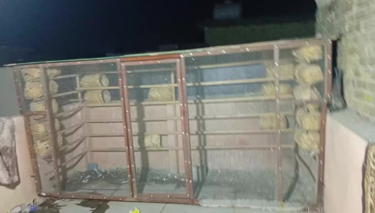 مره خصت مدير الكروب المحترم 
واجهيه العرض 3مترات ونص النزال متر ونص 
تفصال درجه اولى كلهاا ابيعهاا هيه وحلاتهاا والتاريش لله شاهد كلفتني ب600الف وهسه عارضه 250كلهاا سكف بلايود بلوك درجه اولى ترايش درجه اولى سيم بيارسي درجه اولى عارضهه ب250حديد درجه اولى بمعناا الكلام 
وهاذه رقمي *********** مكاني زعفرانيه دور الصحه الثانية
