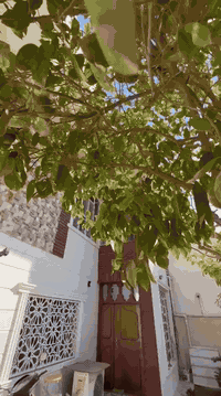 ━
🟦🟨 يُعلن مكتب الساعة للعقار 🟨🟦
━━━━━━━━━━━━━━━━━━

🏠🟩 دار للبيع
📍🟥 الحلة – حي الجامعة
📌 قرب كلية طب الأسنان

📐🟦 المساحة: 212 متر
📄🟨 الطابو: صرف رسمي

📏🟩 الواجهة: 12 متر
📏🟩 النزال: 17 متر

🏗🟦 مواصفات الدار:
🛏🟩 4 غرف نوم
🛋🟨 صالة
🚪🟦 كليدور
🍳🟩 مطبخ
🚿🟨 مجمع صحيات (داخلي + خارجي)
🚗🟥 كراج سيارة

🛣🟦 عرض الشارع: 10 متر
✅🟩 تبليط
✅🟩 مجاري
✅🟩 خدمات كاملة

✨🟨 موقع مميز وقريب من الجامعة
✨🟨 مناسب للسكن والاستثمار

📞🟥 للاستفسار والتواصل:
📲🟦 ***********
📲🟦 ***********

━━━━━━━━━━━━━━━━
