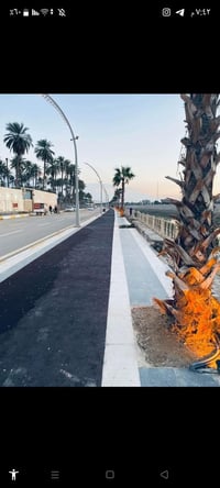 الكورنيش ديالى • ١٠٠م • طابو زراعي